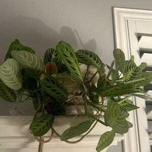 Extra shipping label